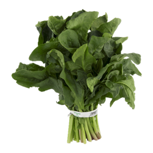 Spinach PNG-79123